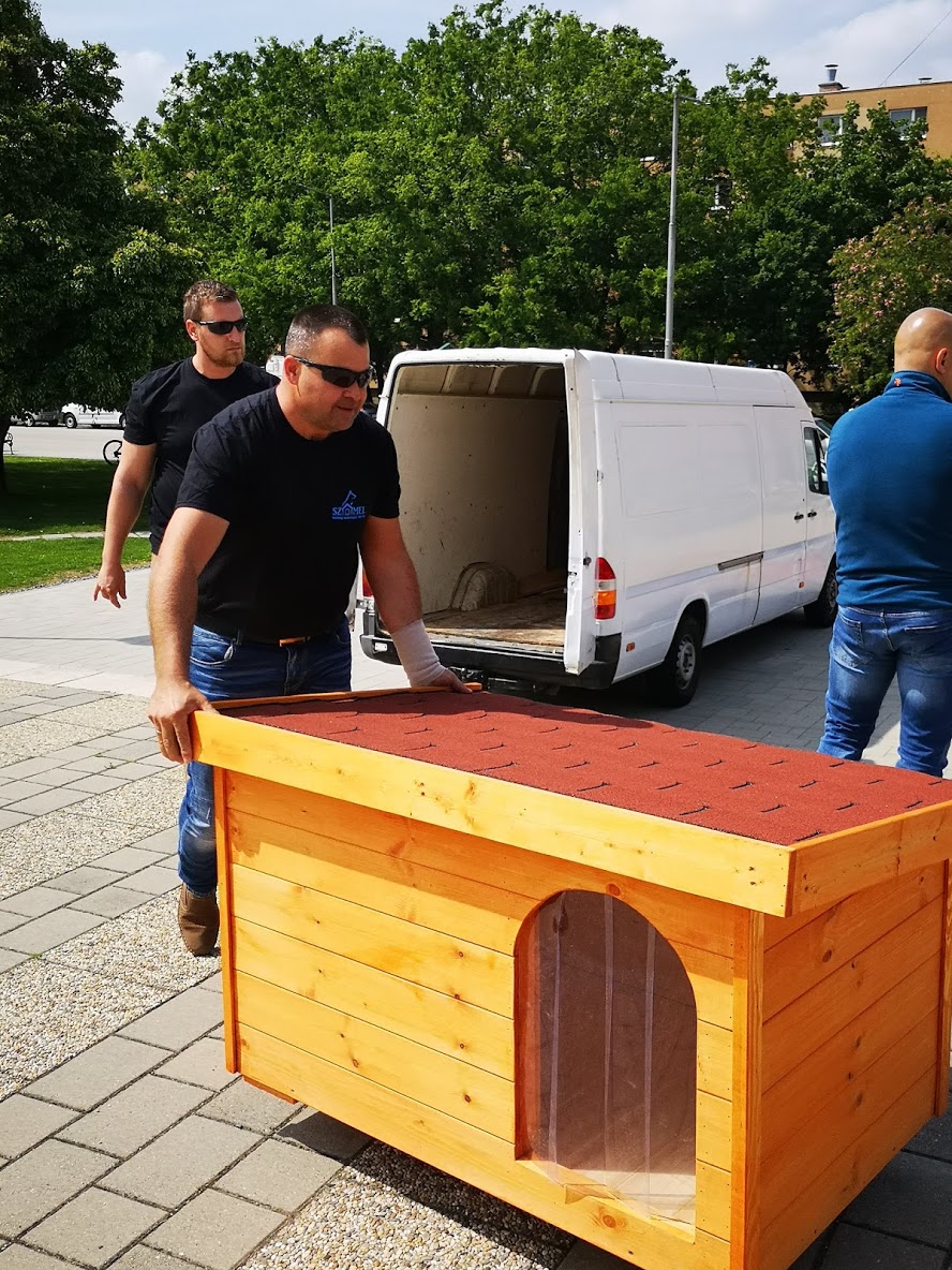 A "Példás" Sport és Egészségnapon jártunk